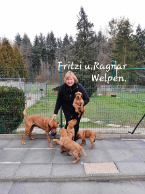 Mutter Fritzi mit Welpen